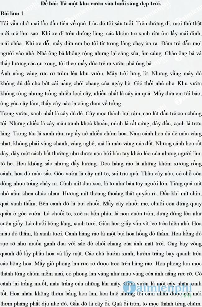 Tả một khu vườn vào buổi sáng đẹp trời lớp 6
