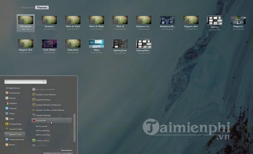Linux Mint Cinnamon