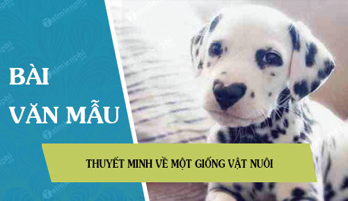 thuyet minh ve mot giong vat nuoi