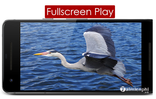 play lite for youtube