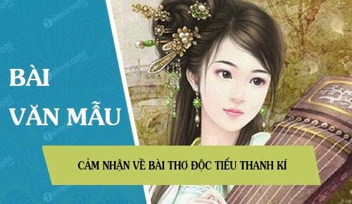 cam nhan ve bai tho doc tieu thanh ki