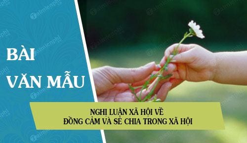 nghi luan xa hoi ve dong cam va se chia trong xa hoi