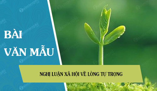 nghi luan xa hoi ve long tu trong