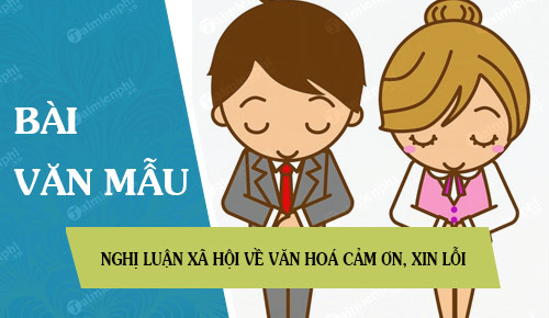nghi luan xa hoi ve van hoa cam on xin loi