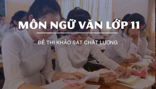 de thi khao sat chat luong mon ngu van lop 11