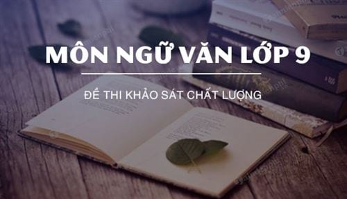de thi khao sat chat luong mon ngu van lop 9