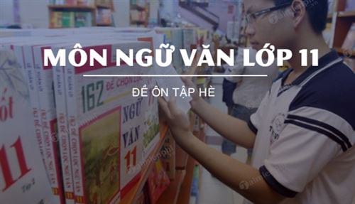 de on tap he mon ngu van lop 11