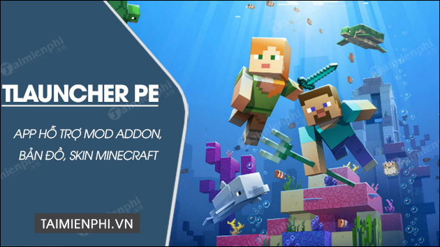 tai tauncher PE