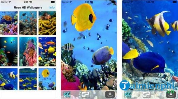 underwater world livewallpaper