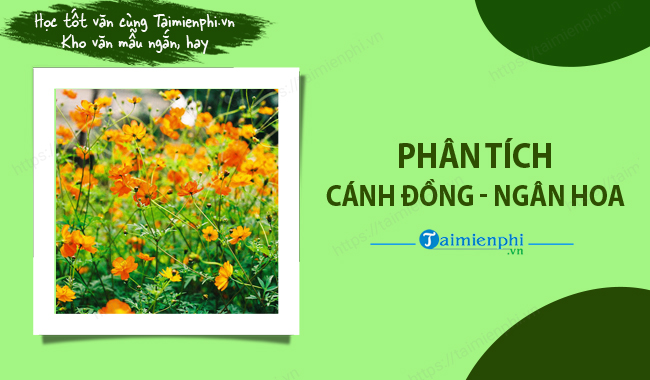 Phan tich bai tho canh dong ngan hoa
