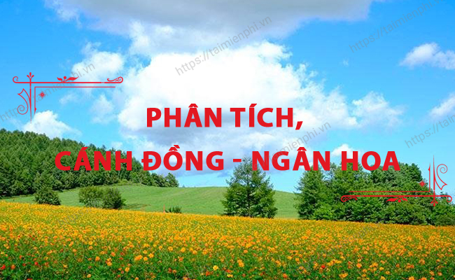 Phan tich bai tho canh dong ngan hoa