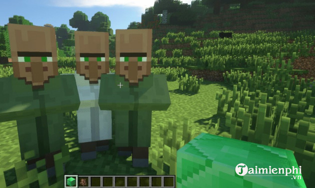 following villagers mod