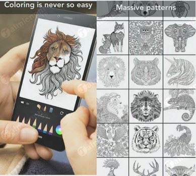 animal coloring book