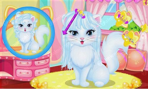 baby kitty hair salon