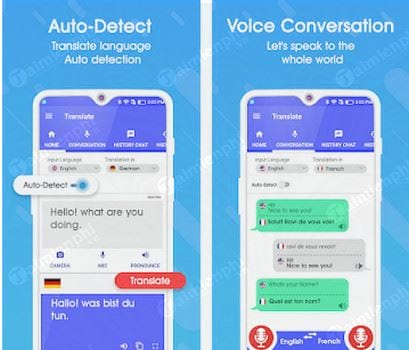 translate all language