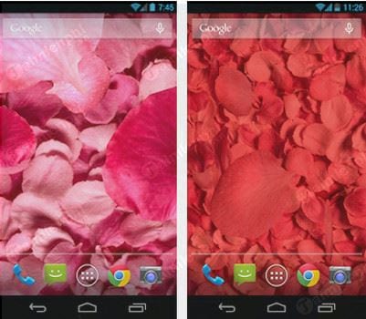 petals 3d live wallpaper