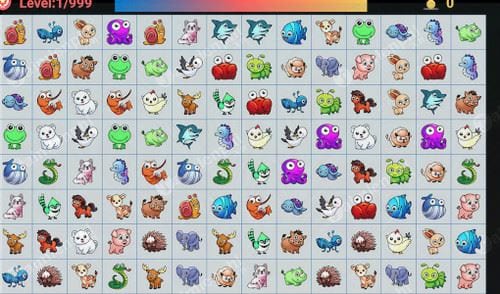 connect animal classic