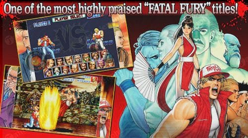 fatal fury special