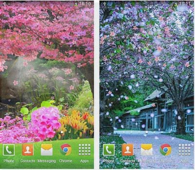 sakura live wallpaper