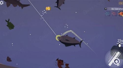 fishing life cho android