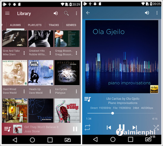 usb audio player pro