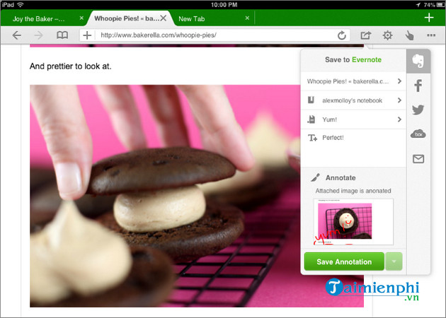dolphin web browser for ipad