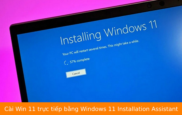 tai windows 11 installation assistant