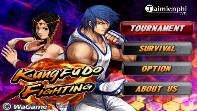 tai kung fu do fighting