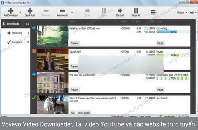 vovevo video downloader