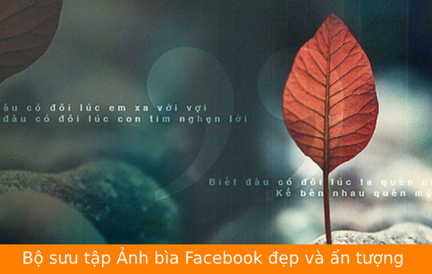 tai anh bia facebook