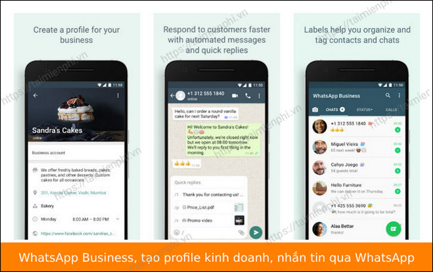 tai whatsapp business