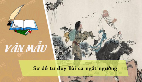 so do tu duy bai ca ngat nguong