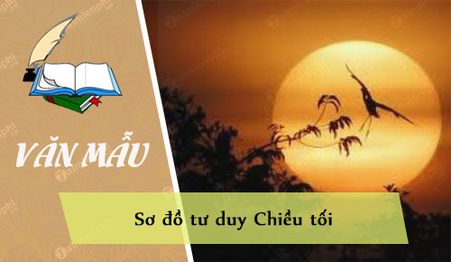 so do tu duy chieu toi