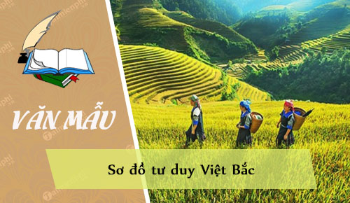 so do tu duy viet bac