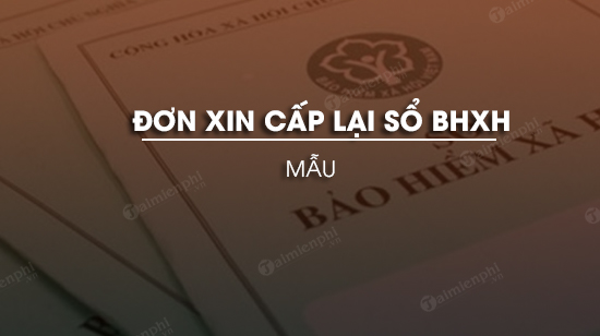 don de nghi cap lai so bhxh