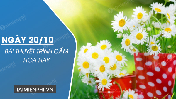 bai thuyet trinh cam hoa 20 10