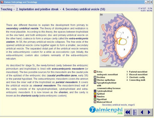 human embryology and teratology