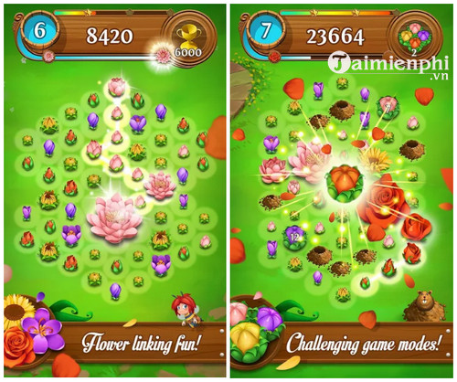 Tai blossom blast saga