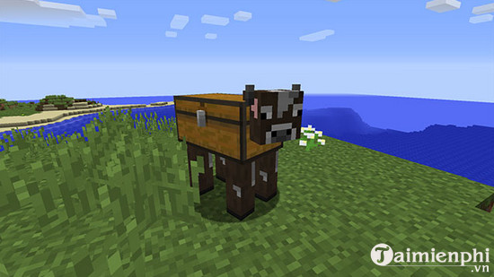 chest cow mod