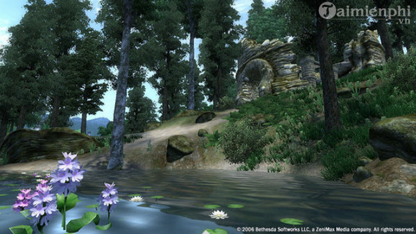 the elder scrolls iv oblivion