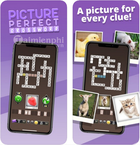 picture perfect crossword