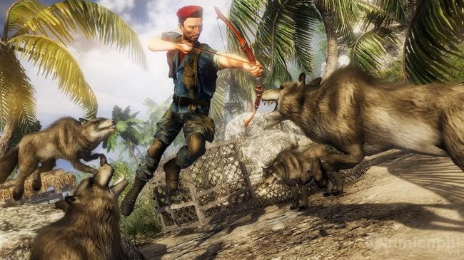 army commando jungle survival