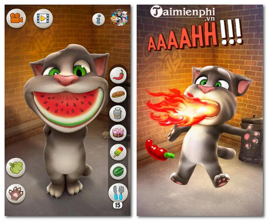 talking tom cat