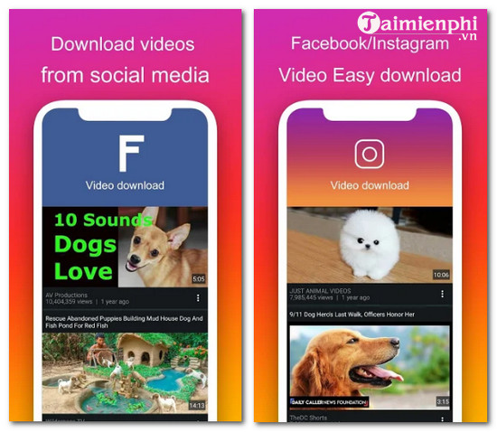 video downloader for social media