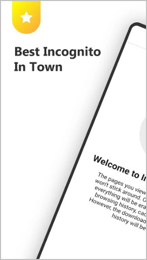 incognito browser