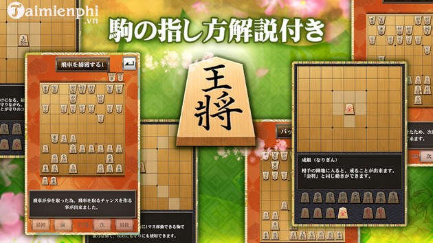 co shogi