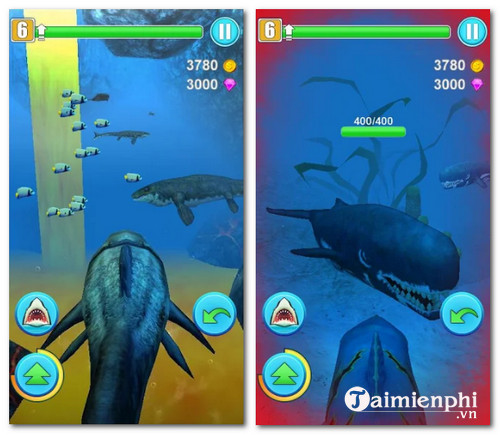 shark simulator