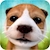 download Dog Simulator cho Android 2.2.3 