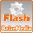 download Raize Video to Flash Converter 3.0 