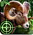 download Wild Hunter 3D Cho Android 